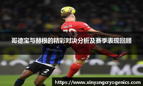 哥德宝与赫根的精彩对决分析及赛季表现回顾